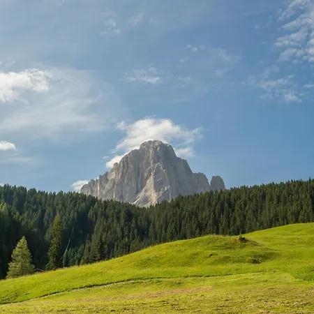 Insam 3* Sëlva di Val Gardena