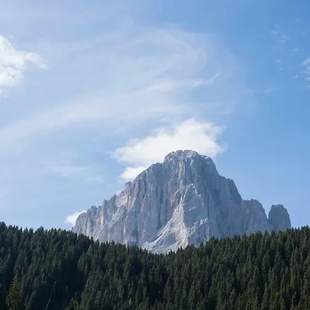 Insam Hotel Selva di Val Gardena